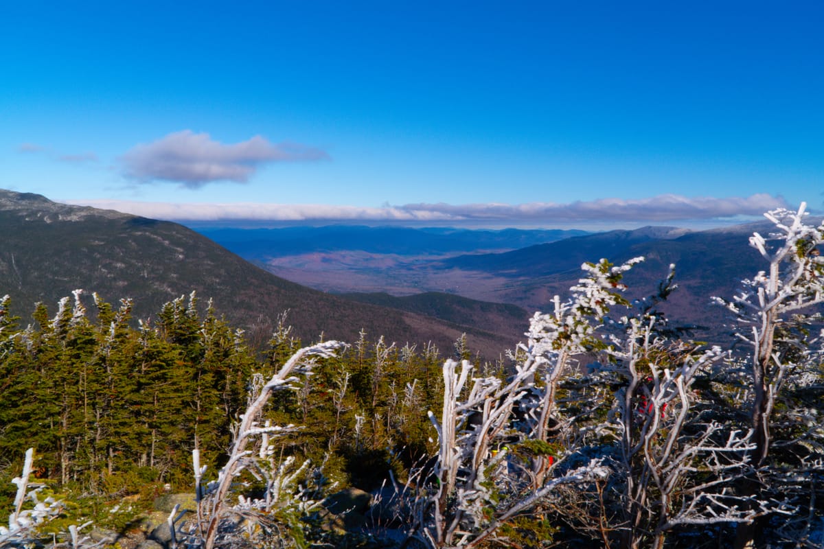 The Road Opens Wider: A Quiet Update